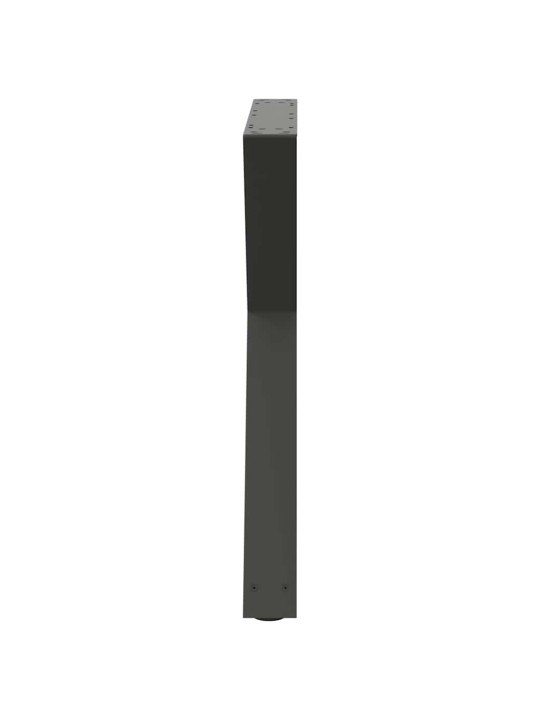 SÖÖGILAUA JALAD 2 TK, ANTRATSIITHALL, 70 X (72-73,3) CM, TERAS