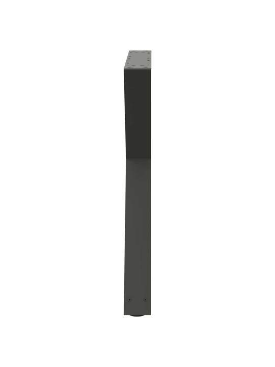 SÖÖGILAUA JALAD 2 TK, ANTRATSIITHALL, 80 X (72-73,3) CM, TERAS