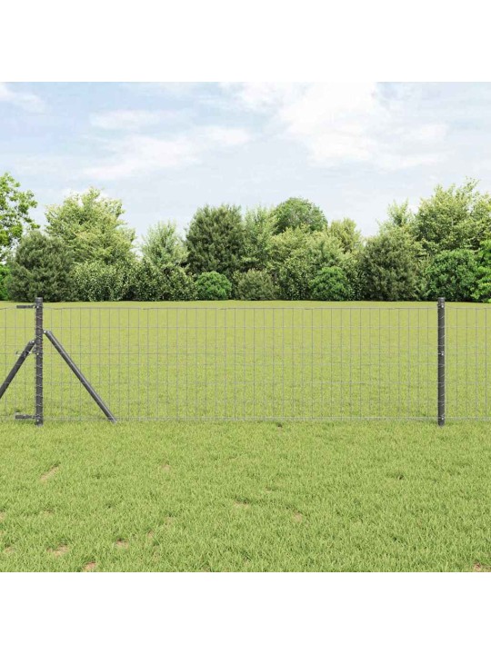 Aed koos postidega hall 0.6 x 10 m teras