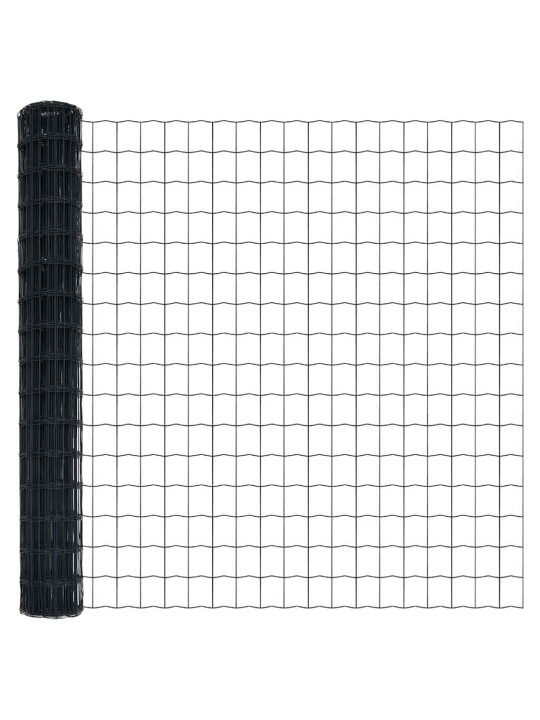 Aed koos postidega hall 1.5 x 10 m teras
