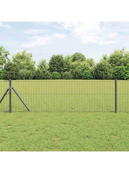 Aed koos postidega hall 0.6 x 25 m teras