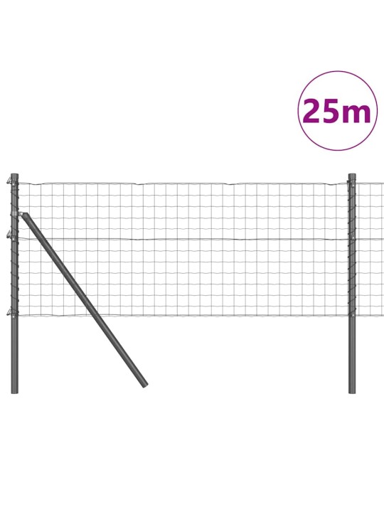Aed koos postidega hall 0.6 x 25 m teras
