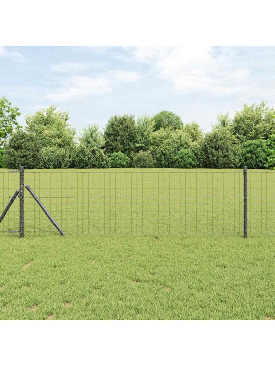 Aed koos postidega hall 0.6 x 25 m teras