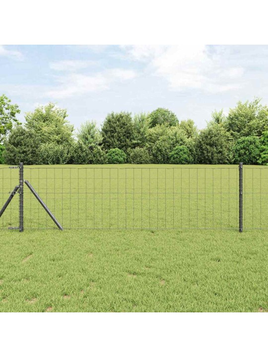 Aed koos postidega hall 0.6 x 25 m teras