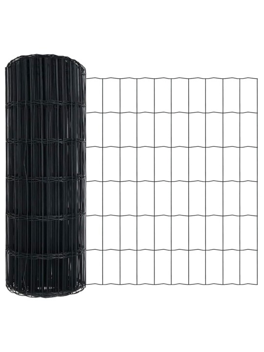 Aed koos postidega hall 0.4 x 50 m teras