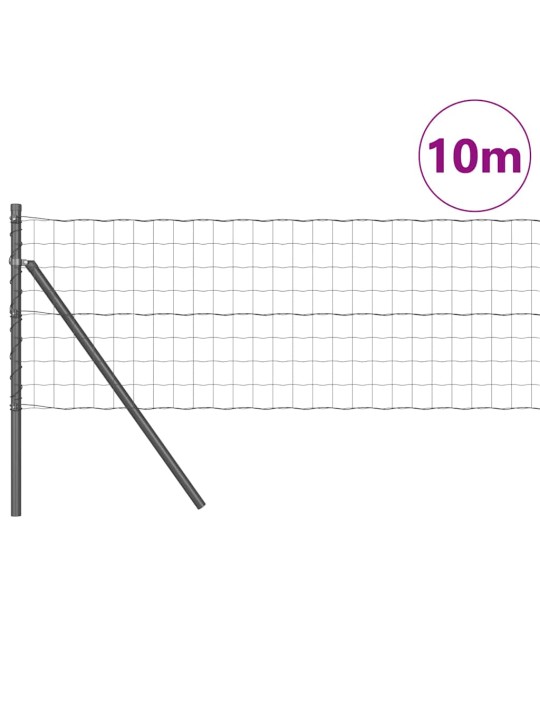 Aed koos postidega hall 0.6 x 10 m teras