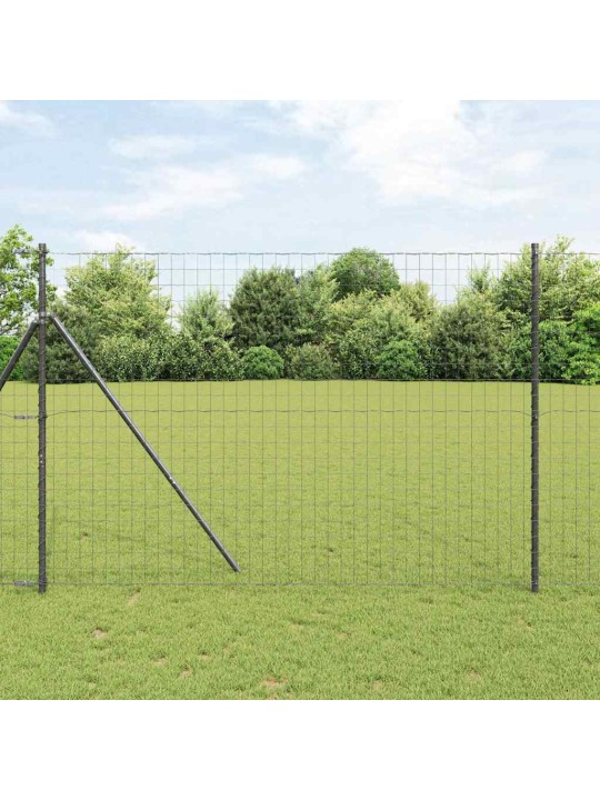 Aed koos postidega hall 1.6 x 10 m teras