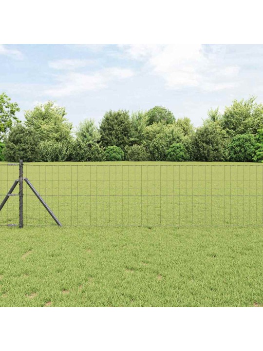 Aed koos postidega hall 0.6 x 25 m teras