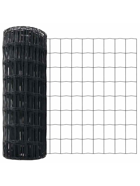 Aed koos postidega hall 0.6 x 25 m teras