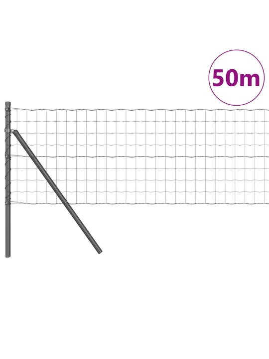 Aed koos postidega hall 0.6 x 50 m teras