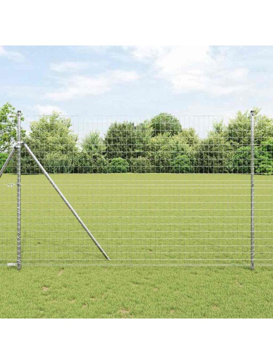 Aed koos postidega hõbedane 1.6 x 10 m teras
