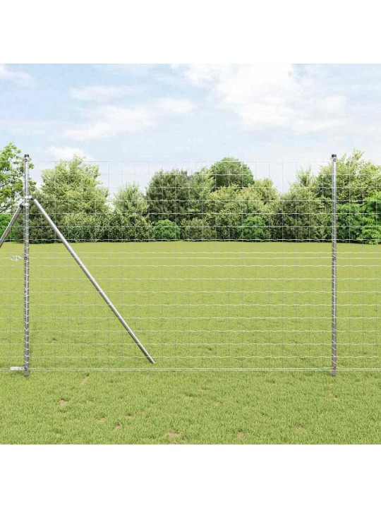 Aed koos postidega hõbedane 1.6 x 10 m teras