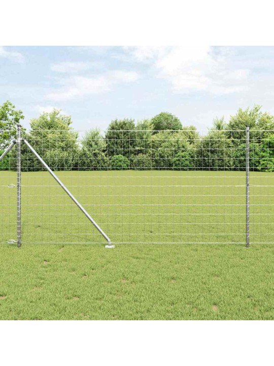 Aed koos postidega hõbedane 1 x 10 m teras