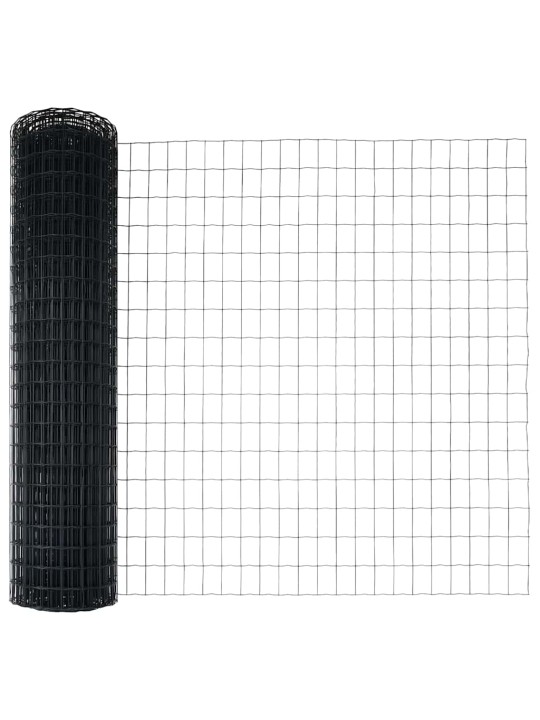 Aed koos postidega hall 0.8 x 10 m teras
