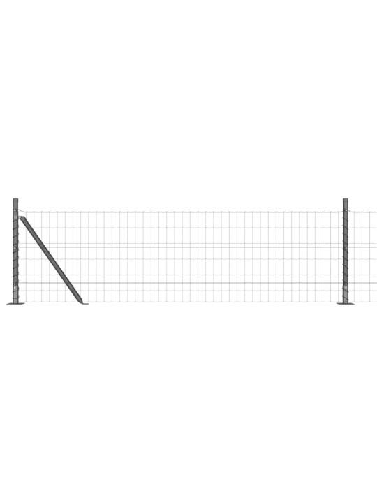 Aed koos postidega hall 0.6 x 10 m teras