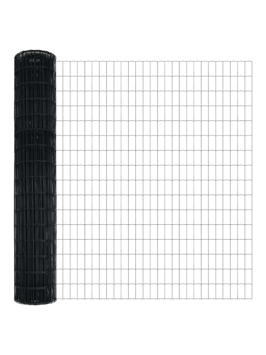 Aed koos postidega hall 1.5 x 10 m teras