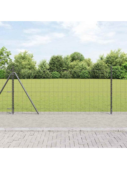 Aed koos postidega hall 0.8 x 10 m teras