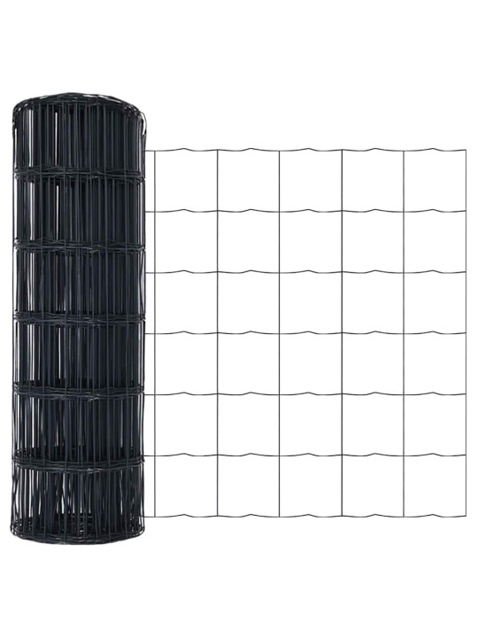 Aed koos postidega hall 0.6 x 25 m teras