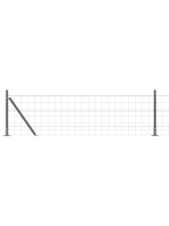 Aed koos postidega hall 0.6 x 25 m teras