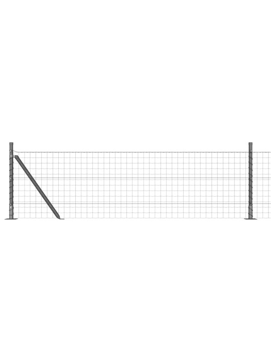 Aed koos postidega hall 0.4 x 50 m teras
