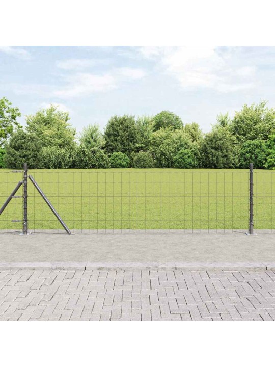 Aed koos postidega hall 0.4 x 50 m teras
