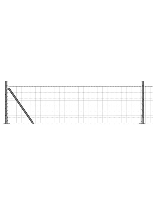 Aed koos postidega hall 0.4 x 50 m teras