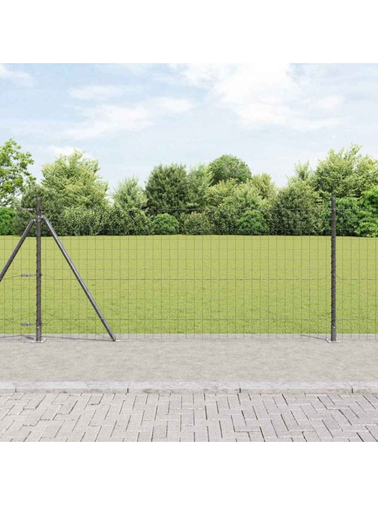 Aed koos postidega hall 0.8 x 10 m teras