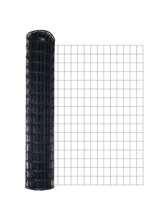 Aed koos postidega hall 0.8 x 10 m teras