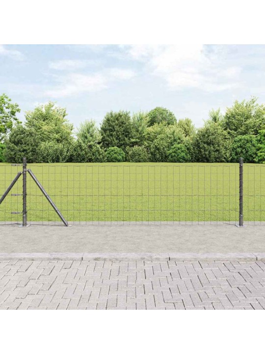 Aed koos postidega hall 0.6 x 50 m teras
