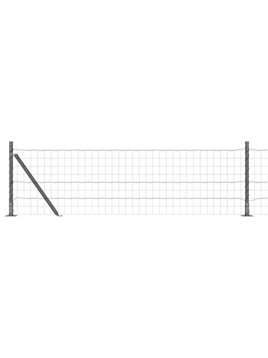 Aed koos postidega hall 0.6 x 50 m teras