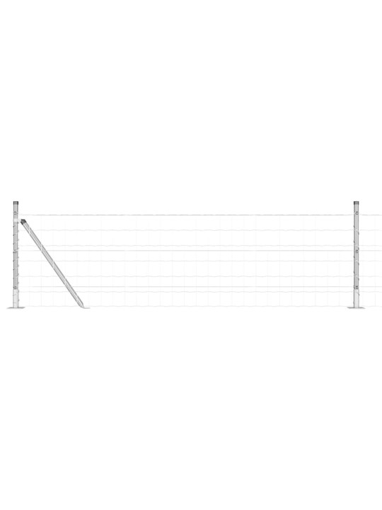 Aed koos postidega hõbedane 0.4 x 10 m teras