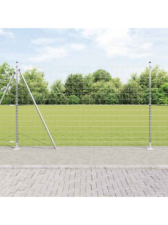 Aed koos postidega hõbedane 1.4 x 10 m teras
