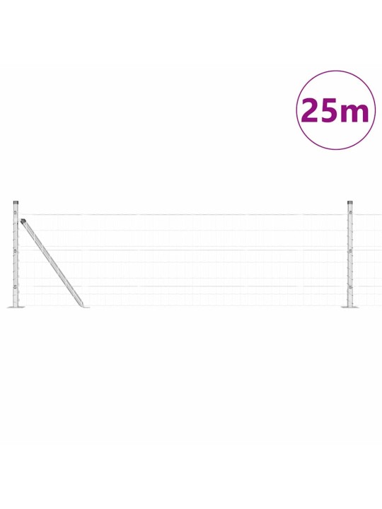 Aed koos postidega hõbedane 0.4 x 25 m teras