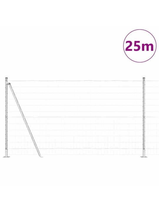 Aed koos postidega hõbedane 1.2 x 25 m teras