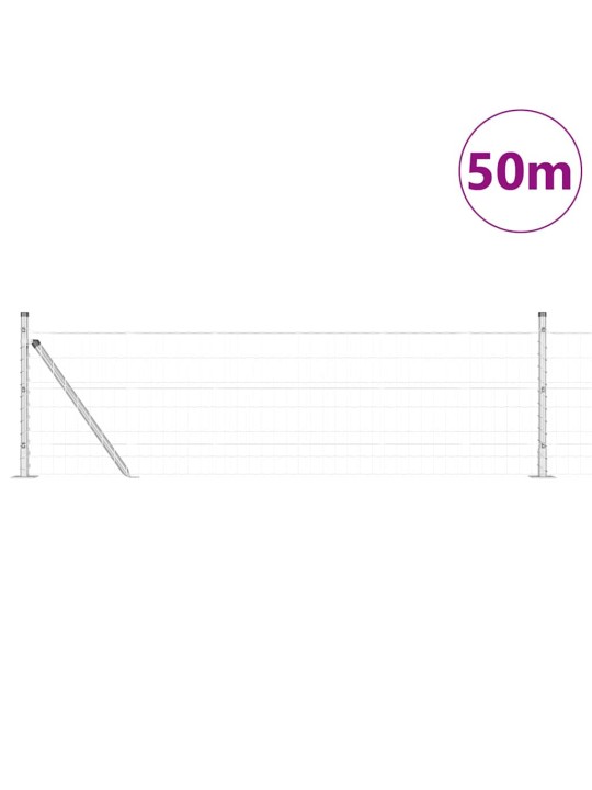 Aed koos postidega hõbedane 0.4 x 50 m teras