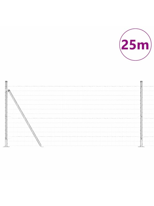 Aed koos postidega hõbedane 0.8 x 25 m teras