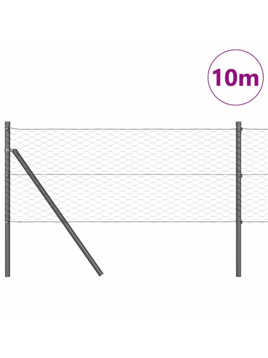 Aed koos postidega hall 0.6 x 10 m pvc kaetud teras