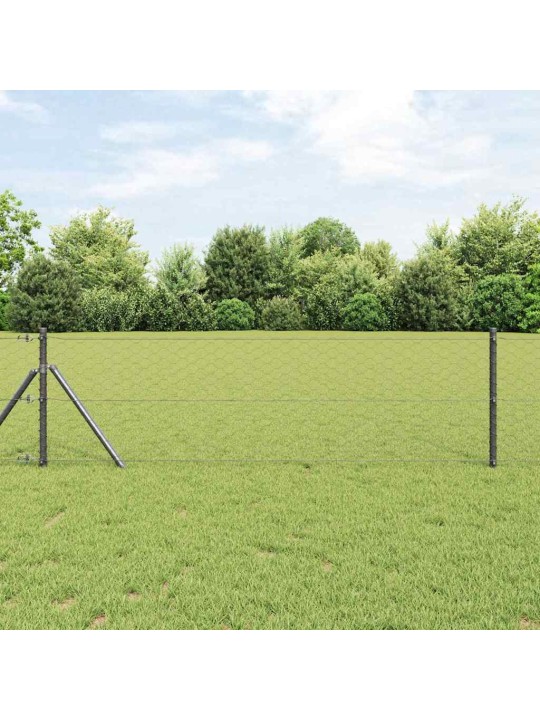 Aed koos postidega hall 0.6 x 10 m pvc kaetud teras