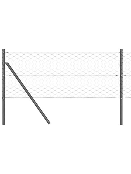 Aed koos postidega hall 0.6 x 10 m pvc kaetud teras