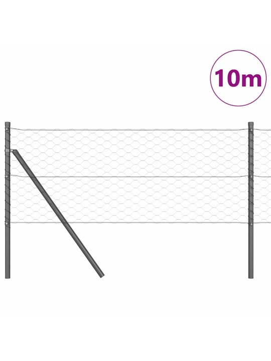 Aed koos postidega hall 0.6 x 10 m pvc kaetud teras