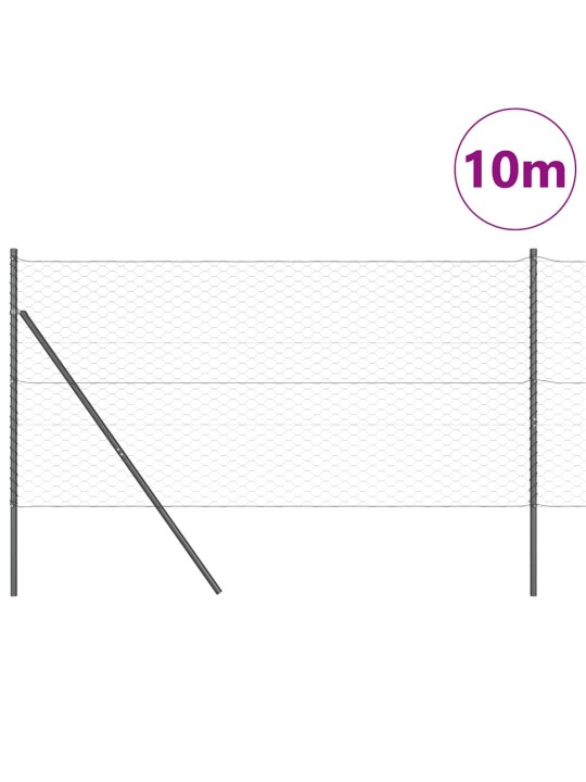 Aed koos postidega hall 1.2 x 10 m pvc kaetud teras