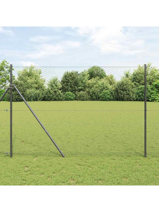 Aed koos postidega hall 1.5 x 10 m pvc kaetud teras
