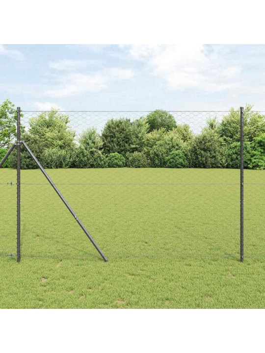 Aed koos postidega hall 1.5 x 10 m pvc kaetud teras