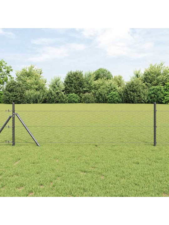 Aed koos postidega hall 0.5 x 25 m pvc kaetud teras