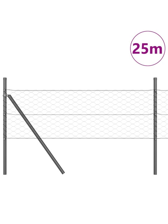 Aed koos postidega hall 0.5 x 25 m pvc kaetud teras