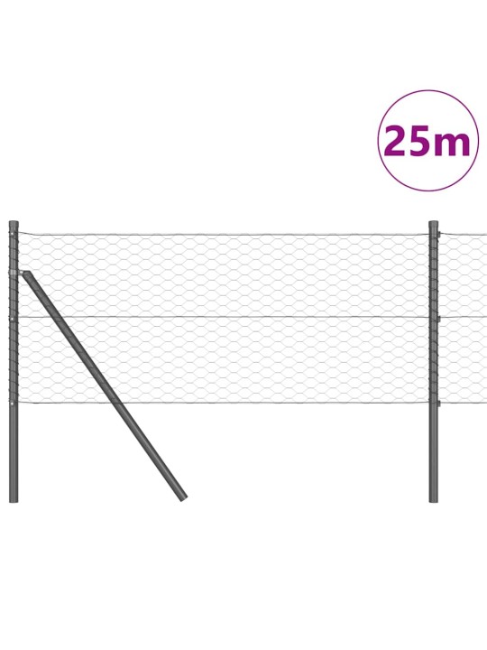 Aed koos postidega hall 0.6 x 25 m pvc kaetud teras
