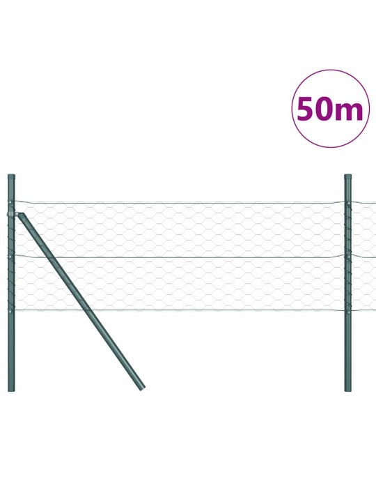 Aed koos postidega hall 0.5 x 50 m pvc kaetud teras
