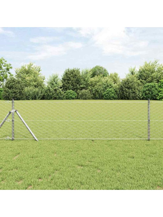 Aed koos postidega hõbedane 0.6 x 10 m pvc kaetud teras