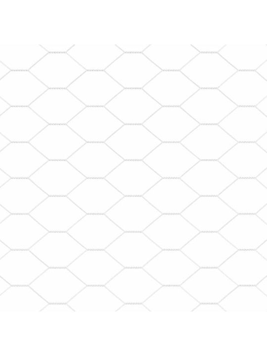 Aed koos postidega hõbedane 0.5 x 25 m pvc kaetud teras