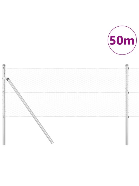 Aed koos postidega hõbedane 0.6 x 50 m pvc kaetud teras